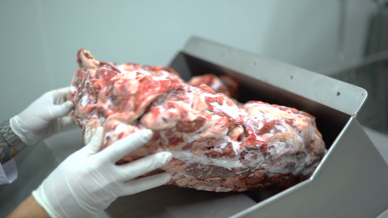 SEYMAG FROZEN MEAT CHOPPER / FLAKER