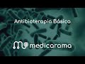 Antibioterapia Básica