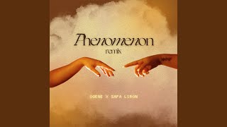 Phenomenon (Safa Liron Remix) Resimi