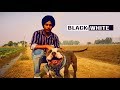 Black & White | Harinder Samra | Dreamboy | Ap Gagan Gill | Full Music Video | New Punjabi song 2018