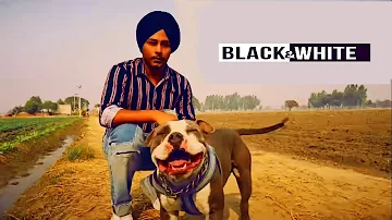 Black & White | Harinder Samra | Dreamboydb | Full Music Video | New Punjabi song 2018