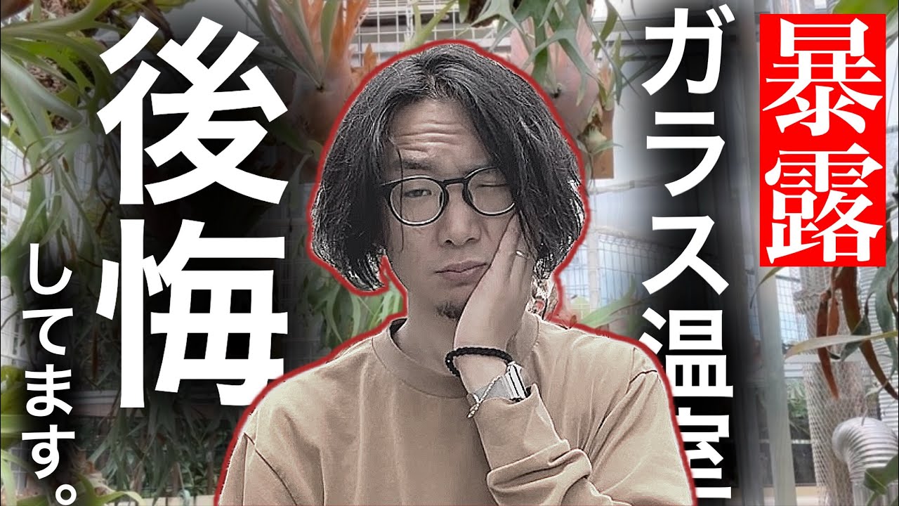 【大失敗】マジで気を付けてください。【庭の温室・ビカクシダ】
