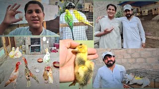 Aj Hamare Mini Zoo Ma Love birds Aagae ☺️ Very Excited 😆| pets Handler.
