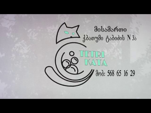 თეთრი კატა