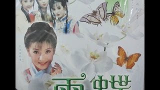 Andy Lau 刘德华 - 回家真好 Hui Jia Zhen Hao (成都音像 Cheng Du Production - DVD版)