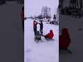Украина Житомирская область село Несолонь 