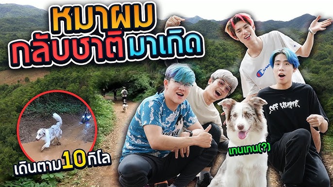 เทนๆ ไม่อยู่แล้ว หมาผมตาย!! - Youtube