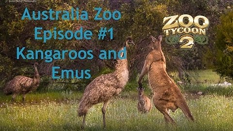 ZT2 Australia Zoo #1: Kangaroos & Emus