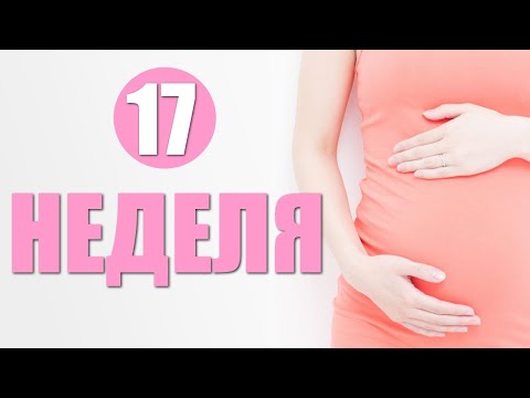 СЕМНАДЦАТАЯ НЕДЕЛЯ БЕРЕМЕННОСТИ. Ваши ощущения и изменения на 17 неделе беременности