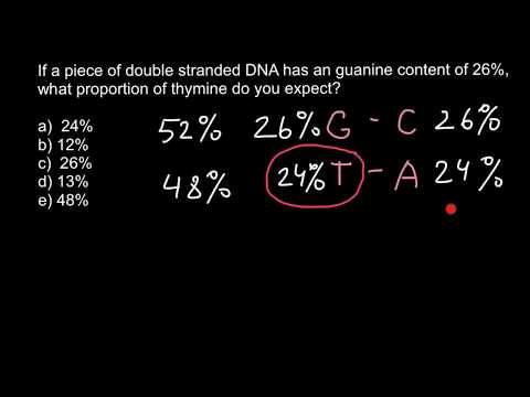 How to find percent of the bases in DNA 2