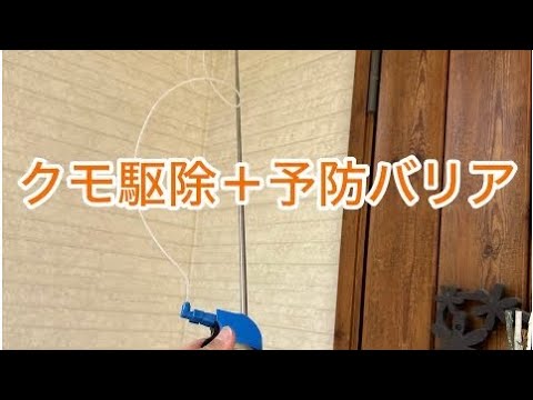 クモ駆除予防を予約すれば料金内でゴキブリ予防もセット！床面積×600円！関西！