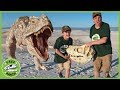 Giant trex dinosaur vs park rangers pretend play escape adventure with dinosaurs toys for kids