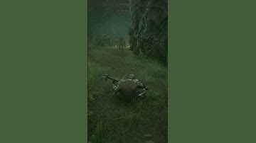 MY LUTE!, #mortalshell   #shorts