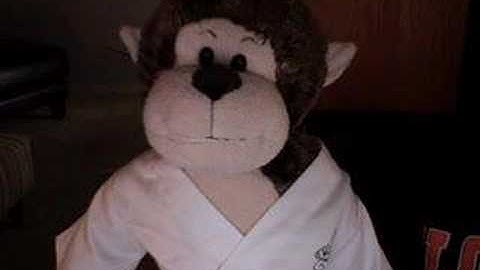 Summerboard custom Theme