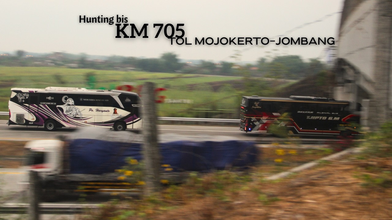 Hunting Bus di Tol Mojokerto-Jombang KM 705 arah Barat🥳