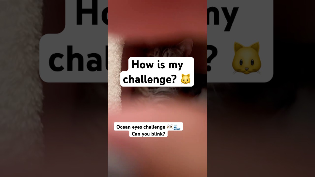 Trying the Ocean Eyes Challenge 