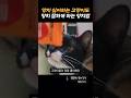 양치 싫어하는 고양이도 양치 잘하게하는 양치법 #고양이