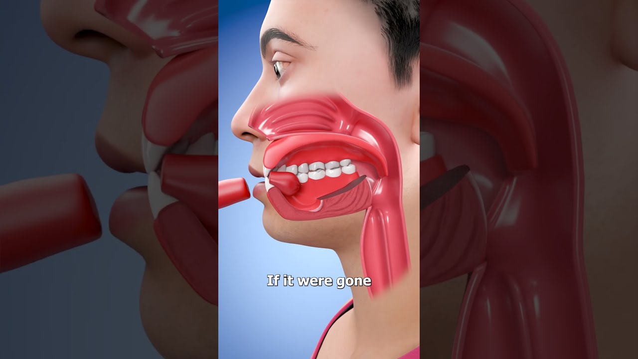 If You Lost Your Tongue 