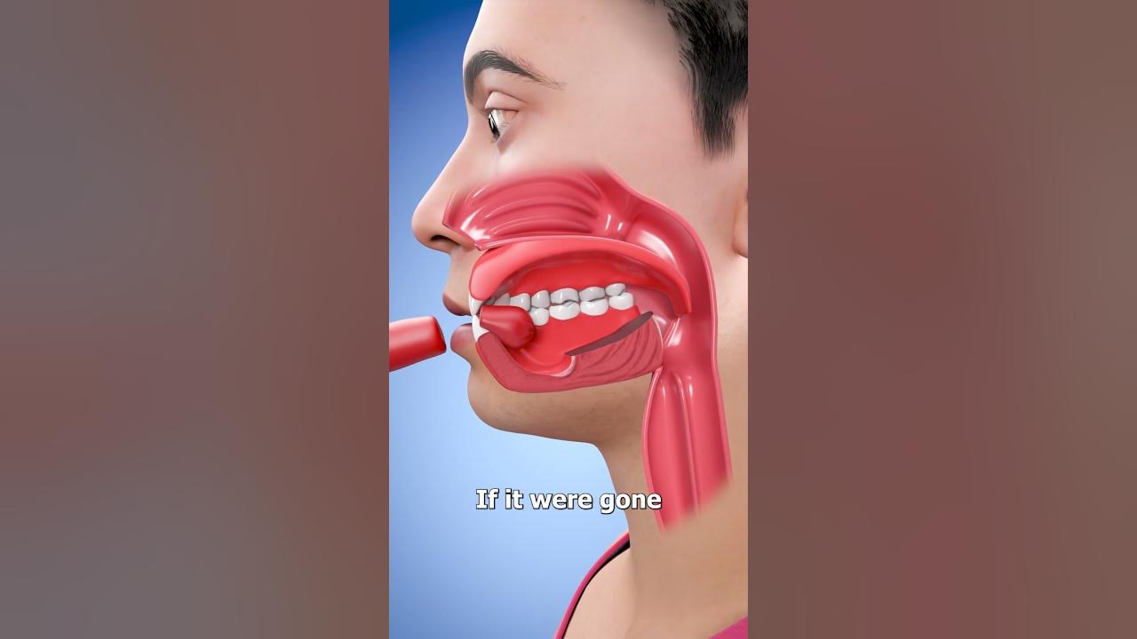 If You Lost Your Tongue 🤔