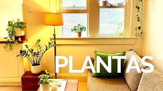 Aprende A DECORAR Tu ESPACIO Con PLANTAS DE INTERIOR!   / MINIMALISMO