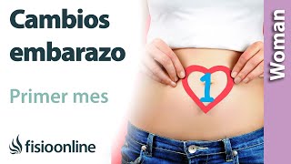 CAMBIOS durante el EMBARAZO mes a mes PRIMER MES