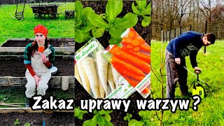 Czy będzie zakaz UPRAW WARZYW w OGRODACH❓Siejcie póki można❗️MARZEC wysiew marchewki/pietruszki🥬🥕❤️