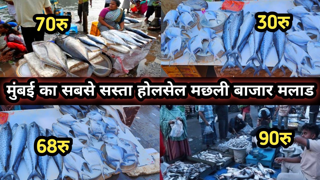 Malad wholesale fish market | मछली बाज़ार मलाड सुबह का सबसे बड़ा बाज़ार