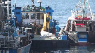 Fishing boats. Oban. Scotland.