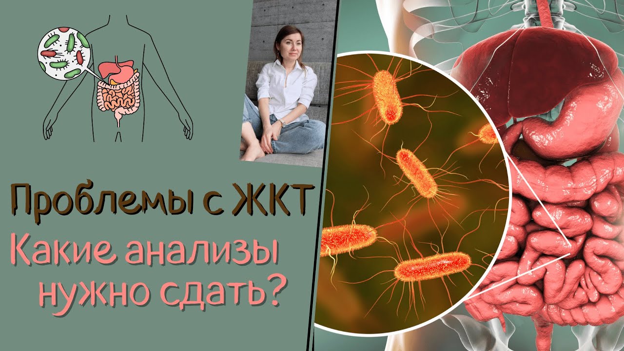 Проблемы с желудочно-кишечным трактом. Какие анализы сдать? С чего начинать искать проблему в ЖКТ?