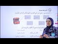 واو الجماعة والواو الأصلية