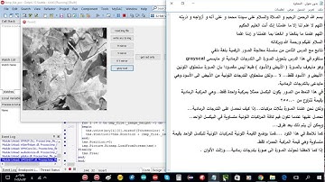 معالجة الصور الرقمية بلغة دلفي الدرس8