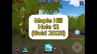 Maple Hill, Hole 12 (Gold 2023) : Disc Golf Valley