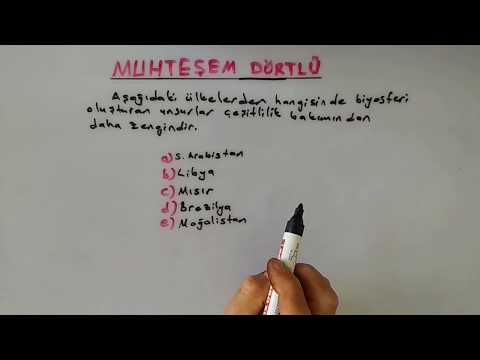 Video: Litosfer, Hidrosfer, Biyosfer - Nedir Bu?