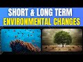 Adapting to Change How Environmental Shifts Impact Organisms and Ecosystems
