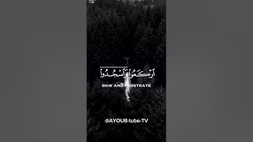 {ياايها الذين امنوا اركعوا واسجدوا واعبدوا ربكم} سورة الحج الآية 77