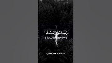 {ياايها الذين امنوا اركعوا واسجدوا واعبدوا ربكم} سورة الحج الآية 77