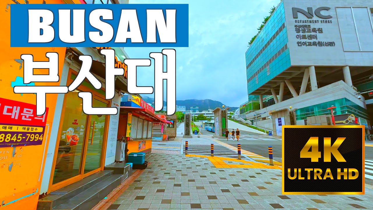 부산대 대학로 걷기 🏫 부산 최고의 대학교 🇰🇷 4K KOREA