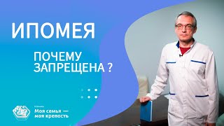 Почему запрещена Ипомея? | Наркологическая клиника МСМК