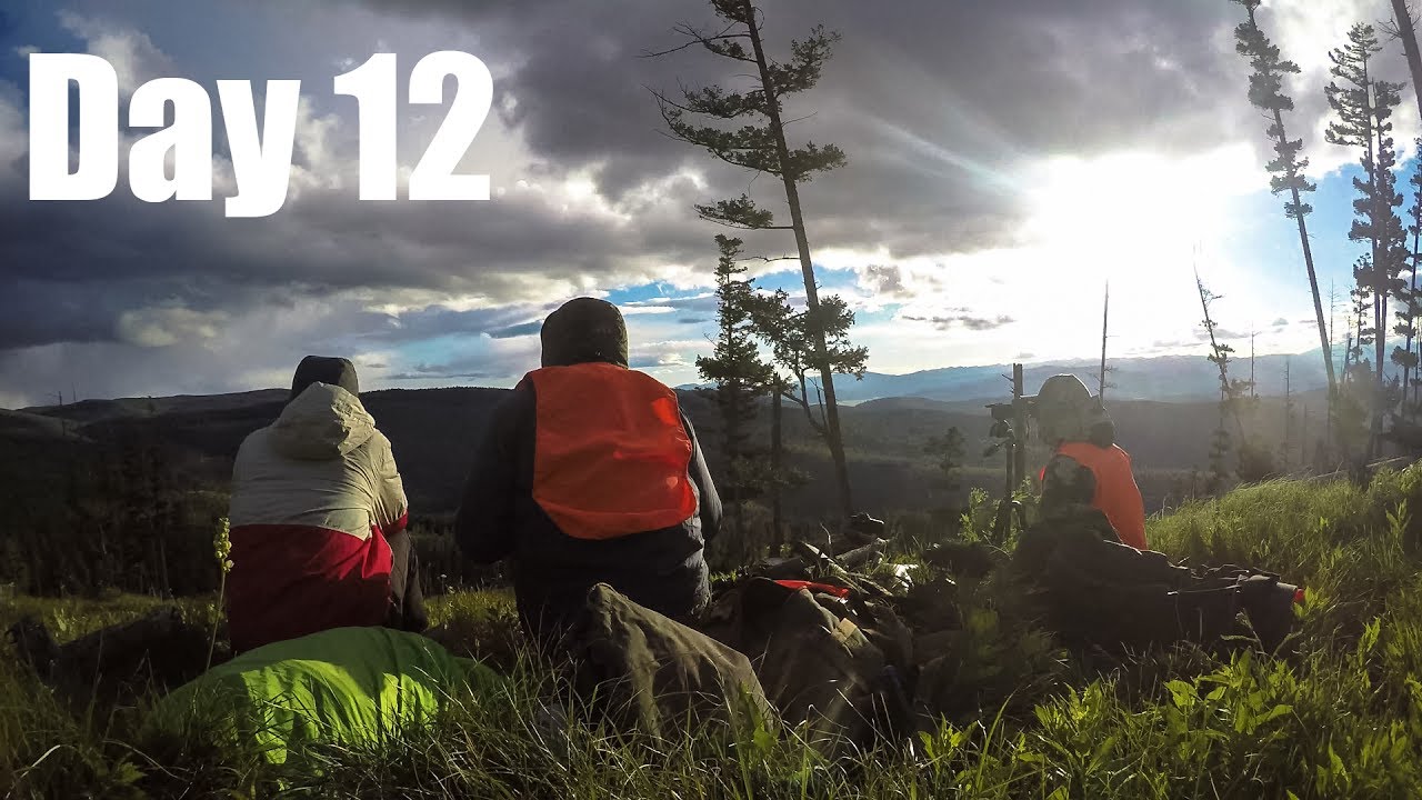 Montana Spring Bear 2017 Final Hunt Day 12 YouTube montana-spring-bear-2017-final-hunt-day-12-youtube