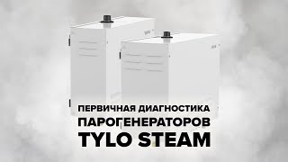 видео: Первичная диагностика парогенераторов Tylo Steam картинка: Первичная диагностика парогенераторов Tylo Steam
