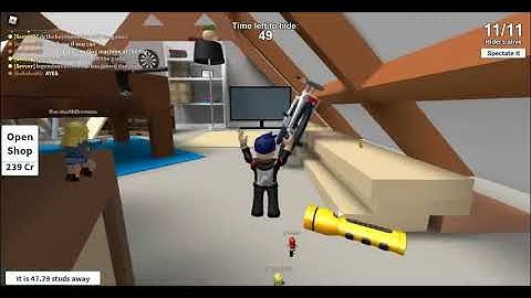 Weirdest Hide and Seek extreme fly glitch