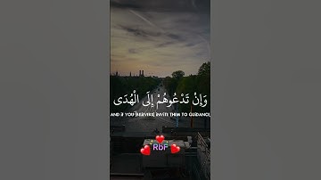 أيشركون ما لا يخلق شيئا وهم يخلقو سورة الأعراف | الشيخ د. ياسر الدوسري #تلاوة_خاشعة #قران_كريم