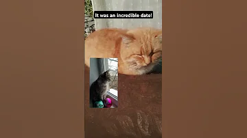 Це було неймовірне побачення 