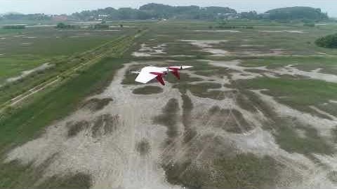 MILVUS RUEPEL PANDION of PRENEU