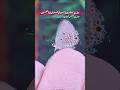 Suna Ha Log Usay #urdupoetry #urdu