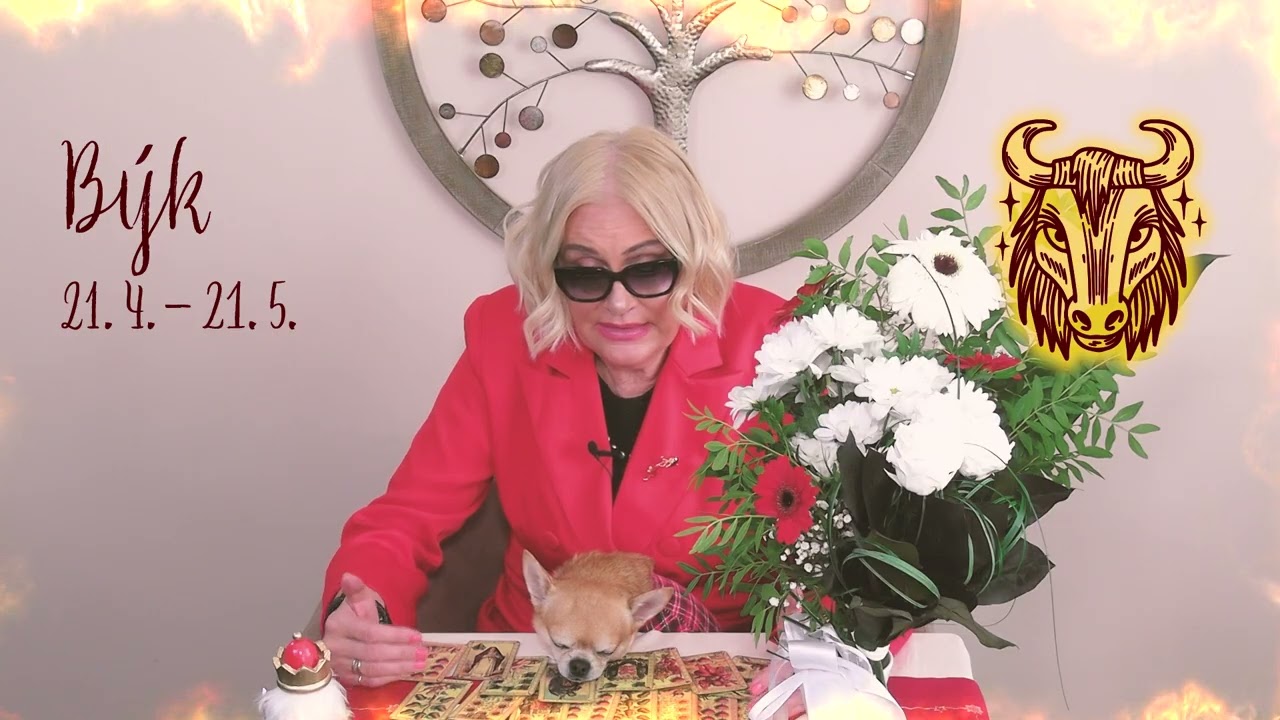 Výklad pro rok 2026 - Býk