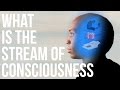 What is the Stream of Consciousness?