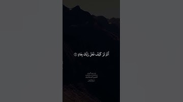 الشيخ محمد صديق المنشاوي سورة الحشر وقصار السور #قرآن_كريم #الشيخ_المنشاوي #الشيخ_محمد_صديق_المنشاوي