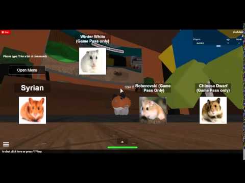 How To Put Out Fire In Hamster Simulator Roblox