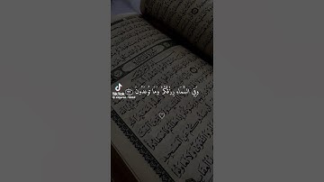 استمع القرآن الكريم واكتب يارب #القرآن_الكريم #comedianmahmoudagamey #محمودعجمي #لايك #اكسبلور #ترند